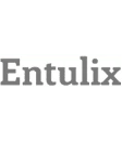 entulix company